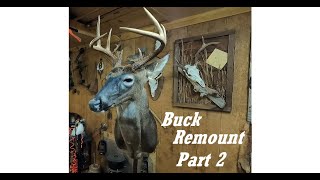 How to Remount a Whitetail Deer  Taxidermy Shoulder Mount  Bad Taxidermy Turned Good [upl. by Pfosi806]