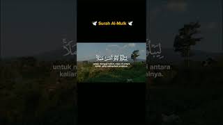 SURAH AL MULKshorts youtubeshorts [upl. by Elleron197]