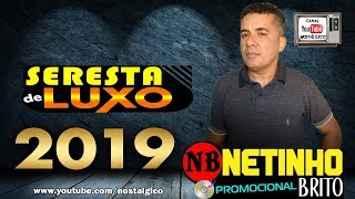 Netinho Brito CD 2019  Seresta Brega De Luxo [upl. by Eus]