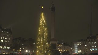 Norwegian tree lights up Londons Trafalgar Square  AFP [upl. by Azne599]