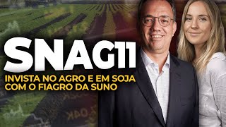 🌱 SNAG11 Fiagro da Suno pagará R 120 por cota em outubro [upl. by Kimmel]