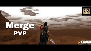 L2 Reborn pvp First week of the merge [upl. by Oleg]