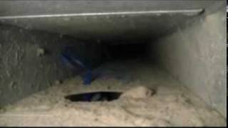 Amistee Duct Cleaning Video [upl. by Hawkins564]