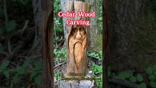 Cedar Wood Carving woodworking wood woodartcarvings cedar diy [upl. by Stolzer]