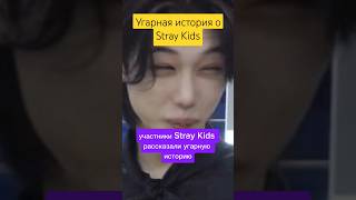 Угарная история о Stray Kids straykids twice nmixx itzy lesserafim aespa illit enhypen txt [upl. by Nylinnej]