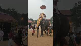 Valiyaveettil Ganapathi at Chengannur Mahadeva Temple Festival 2023 [upl. by Winnie167]