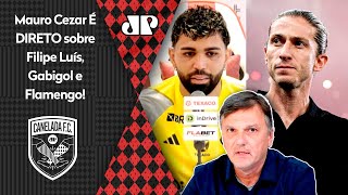 quotEu NÃO ACREDITO nisso EU DUVIDO que o Filipe Luísquot Mauro Cezar OPINA sobre Flamengo e Gabigol [upl. by Uthrop148]