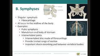 Cartilaginous Joint [upl. by Ahkihs]