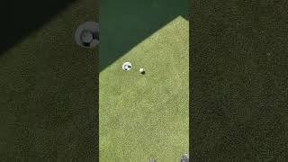 One handed putting practice my spin technique on short putts golf putting [upl. by Casteel]