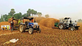 Multi Crop धान थ्रेशर P55 7 fan  धान थ्रेसिंग  P55 Paddy thresher Machine  Tractor [upl. by Itida]