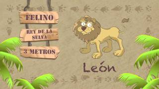 Las características del LEÓN [upl. by Stannfield173]