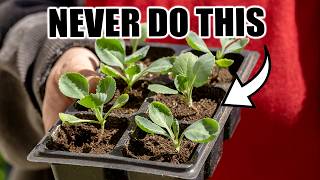 5 Biggest Mistakes Made When Starting Seeds Indoors [upl. by Brieta]