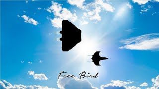 Elite Dangerous  Free Bird [upl. by Lizzie]