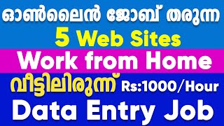 Online Data entry job Malayalam വീട്ടിൽ നിന്നും ജോബ് ചെയ്യാൻ Work from home malayalam [upl. by Cirre444]