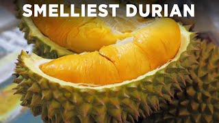 Tasting The Worlds Smelliest Fruit Durian [upl. by Carlee]