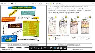 20Formation de lhumus et sa minéralisation [upl. by Sheela214]