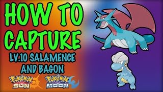 How to Capture Level 10 Salamence and Bagon  Pokemon Sun and Moon [upl. by Floss222]