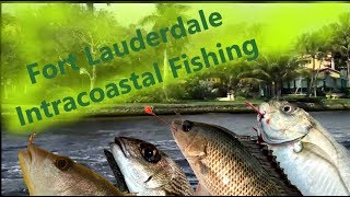 Fort Lauderdale Intracoastal Fishing [upl. by Reifinnej494]