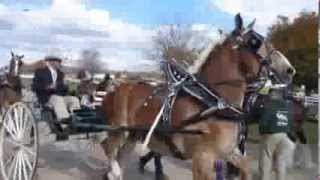 2012  Michigan Great Lakes International Draft Horse Show Part 1 [upl. by Kwasi]