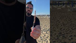 Esca bibi con arenicola clippata in pendolare baitcast baits fishingvideo surfcasting fish [upl. by Aerdnat]