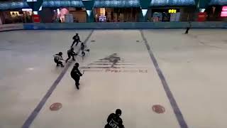 GAME 48  Rookie  Team BadaX VS Team Tigers FROZENFACEOFF2024 MALAYSIA [upl. by Calisa]