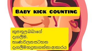 බබාගේ දැගලීම  babage dagalima baby kick counting chart how to recognize your babys first kick [upl. by Ludwigg]