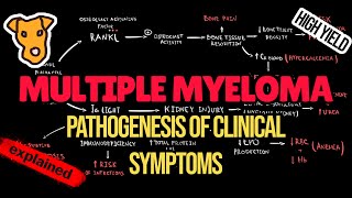 MULTIPLE MYELOMA Pathogenesis of Clinical Symptoms CRAB criteria Amyloidosis Immunodeficiency [upl. by Eudora]