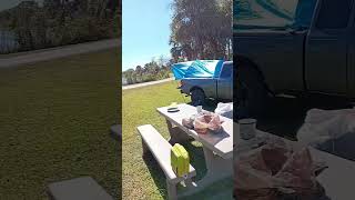 Camping in Florida camping newvideos wildlifeaddicts [upl. by Anoyek]