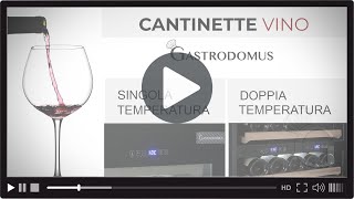 Cantinetta Vino Temperatura Singola Mod WINE100SZN  Gastrodomus [upl. by Curson]