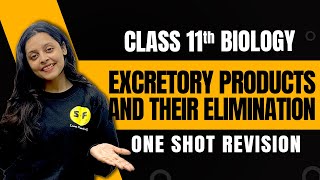 Excretory Products and Their Elimination One Shot Revision Biology  Class 11 Biology By Sonam Maam [upl. by Gerkman635]