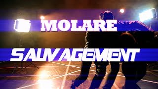 TEASER MOLARE quotSAUVAGEMENTquot Officiel HD [upl. by Aileno]