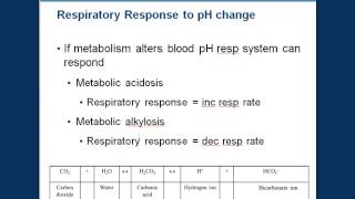 Respiration and blood pH [upl. by Learrsi784]