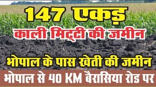 Agriculture Land forsale in Bhopal landforsale agricultureplot [upl. by Enimsay]