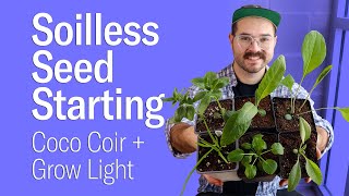 Soilless Seed Starting Indoors • Coco Coir Basics and Results [upl. by Oiretule633]