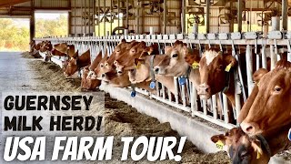 Touring Hoards Dairyman Farm [upl. by Benco257]