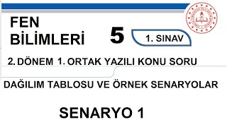 Fen Bilimleri 5 Sınıf 2 Dönem 1 Yazılı MEB senaryo 1 Soruları açık uçlu  klasik yazılı [upl. by Emogene606]