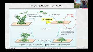 Salmonella enterica Dry Surface Biofilms and the Need for New Sanitation Practices in Foodservice [upl. by Aphra735]