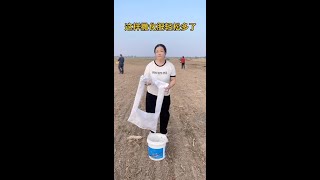 Its much easier to spread fertilizer this way fyp funny comedy [upl. by Okihcim]