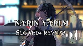 NARIN YARIMTIKTOK FAMOUS SONG♪SLOWEDREVERBTURKISH SONGLOFI WORLDnarinyarim [upl. by Shepley]