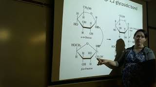 Elem Organic Disaccharides amp Polysaccharides Lecture [upl. by Ard104]