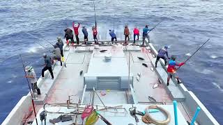 FISHING  MALDIVES [upl. by Karub979]