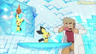 Pichu attacks Professor Oak  Professor Oak Funny Moments XY [upl. by Einnil72]