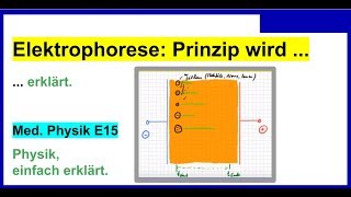 Elektrophorese einfach erklärt auch für Medizinische Physik E15 [upl. by Ikceb396]