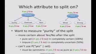 Decision Tree 3 which attribute to split on [upl. by Attenyl212]