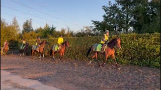 Gallops 29092024 Julia Feilden Racing [upl. by Thebault850]