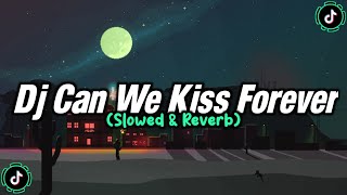 Dj Can We Kiss Forever Slowed amp Reverb [upl. by Levitus459]