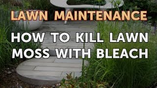 How to Kill Lawn Moss With Bleach [upl. by Schumer]