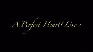 John Branham Starnes  A Perfect Heart Live [upl. by Jarv659]