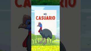 Las 8 Aves que NO vuelan🐧shorts short animalshorts shortvideo shortsfeed viral [upl. by Ysnat]