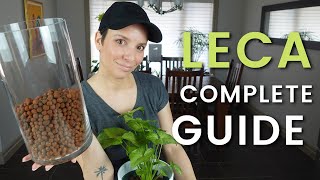 LECA FOR BEGINNERS  COMPLETE GUIDE What You Need How To Transfer Plants How To Care For Them [upl. by Assirram57]